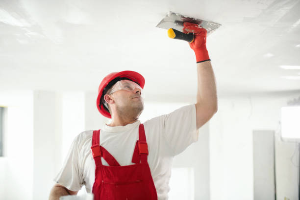 Best Mold Documentation for Insurance Claims  in Springville, AL