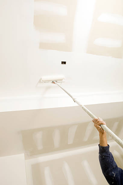 Best Mold Remediation for Healthcare Facilities  in Springville, AL