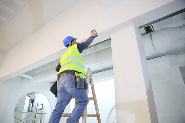 Best Airborne Mold Testing  in Springville, AL