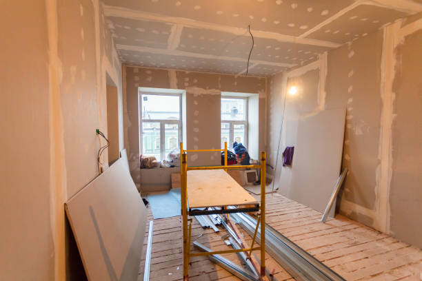 Best Basement Mold Removal  in Springville, AL